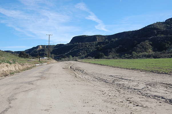 DSC 0671