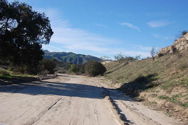 DSC 0655