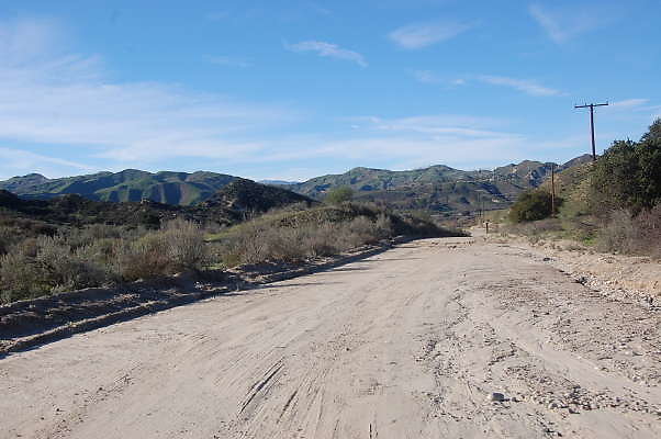DSC 0659