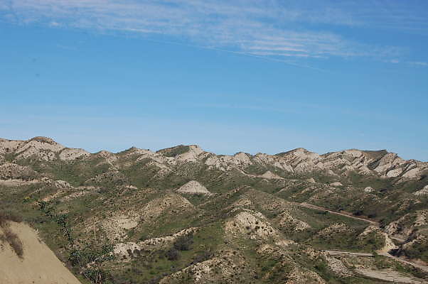 DSC 0626