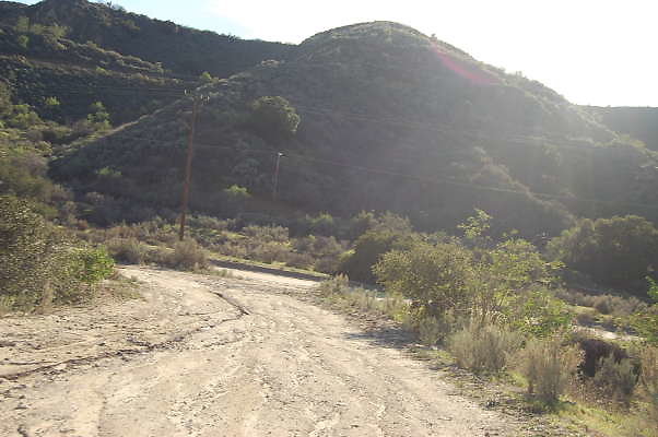 DSC 0688
