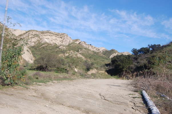 DSC 0681