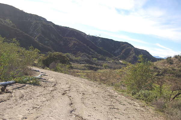 DSC 0686