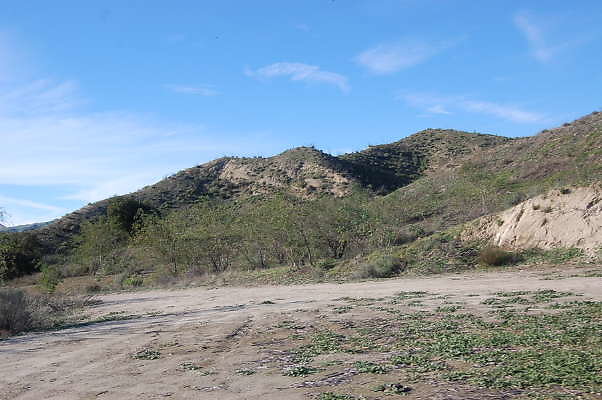 DSC 0683