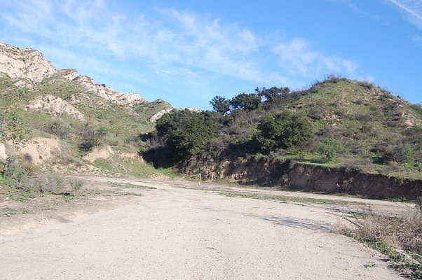 DSC 0682