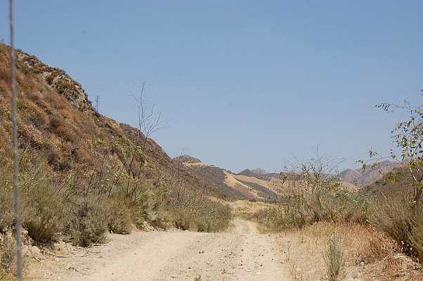 DSC 0156