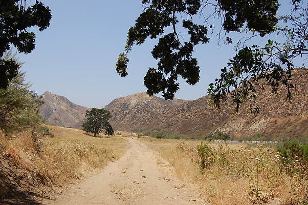 DSC 0199