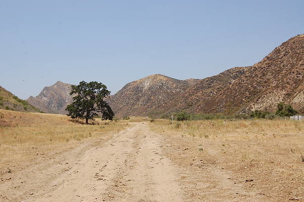 DSC 0201