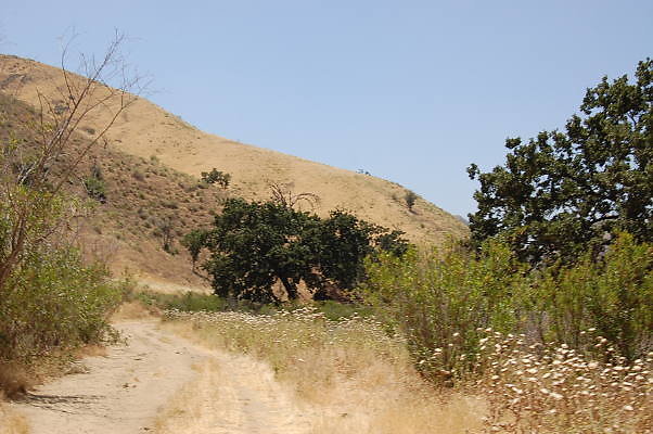 DSC 0197