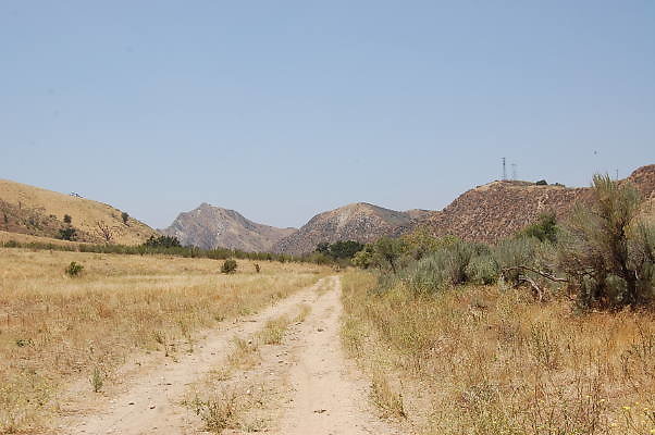 DSC 0193