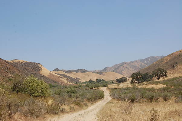 DSC 0166