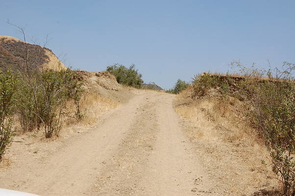 DSC 0172