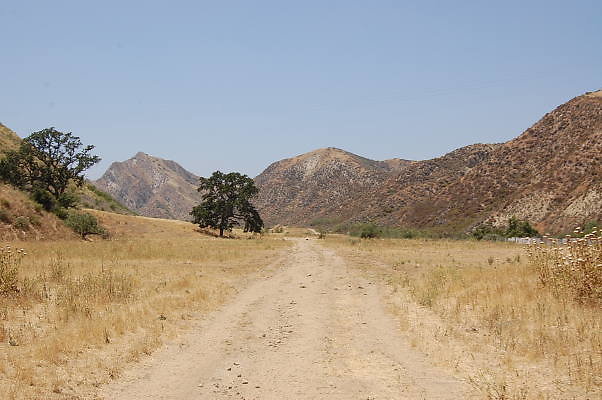 DSC 0200