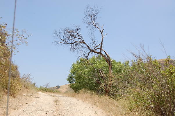 DSC 0146