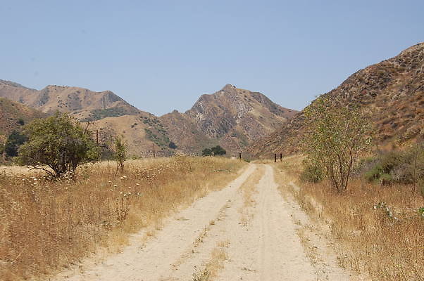 DSC 0216