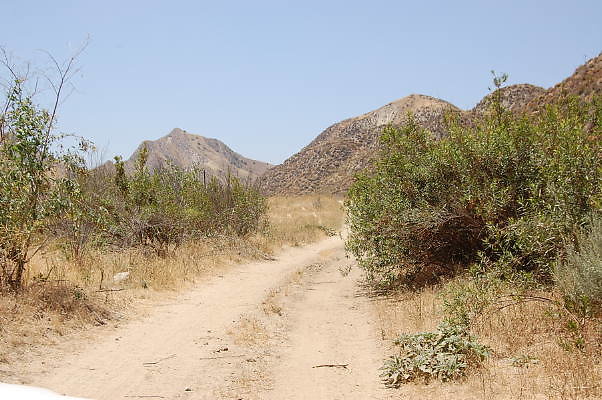 DSC 0211