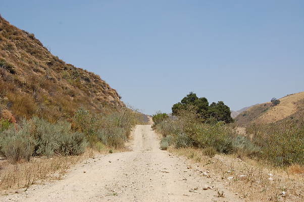 DSC 0150