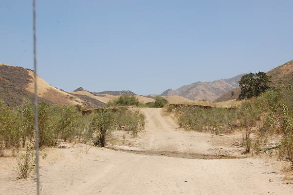 DSC 0171
