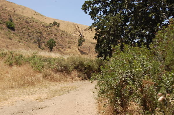 DSC 0198