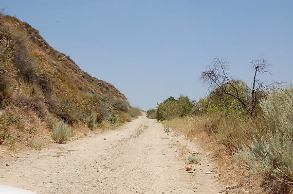 DSC 0148