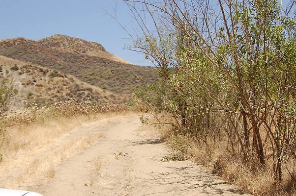 DSC 0182