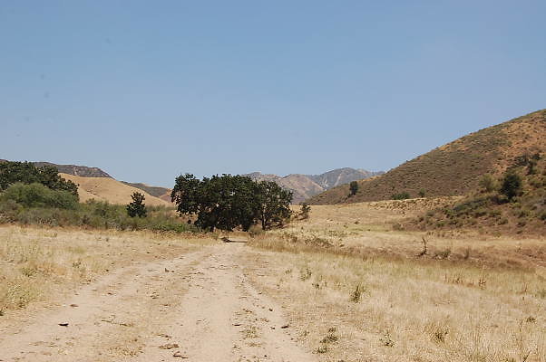 DSC 0178