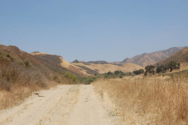 DSC 0164