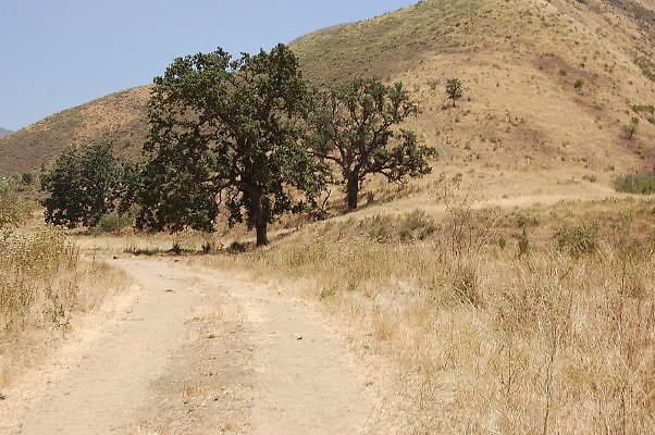 DSC 0174
