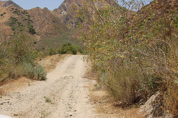 DSC 0230