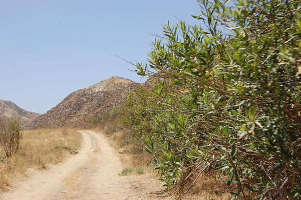 DSC 0212