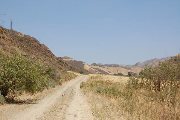 DSC 0159