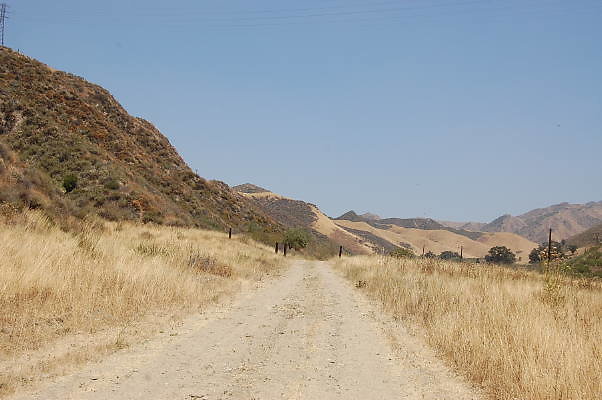 DSC 0161