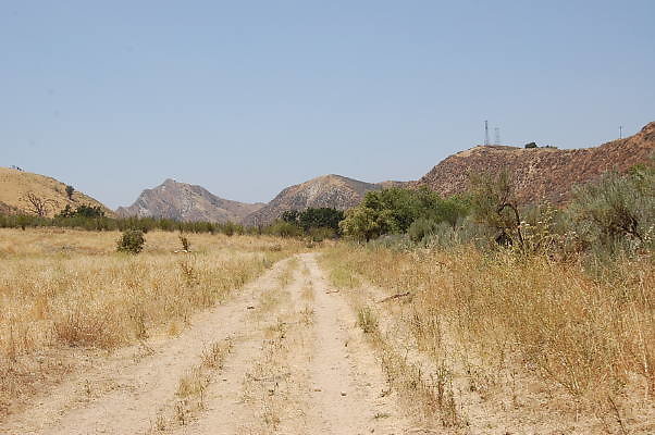 DSC 0194