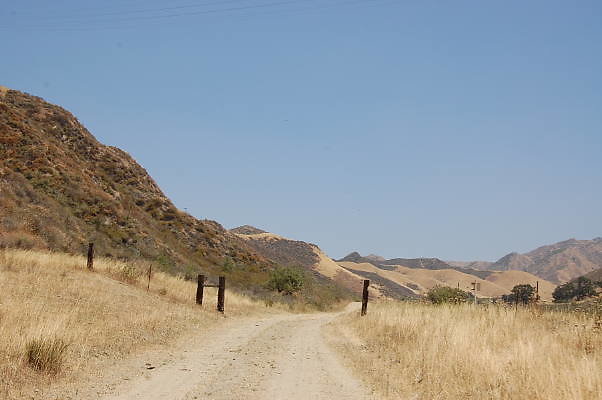 DSC 0162