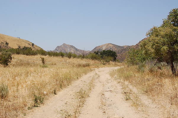 DSC 0195