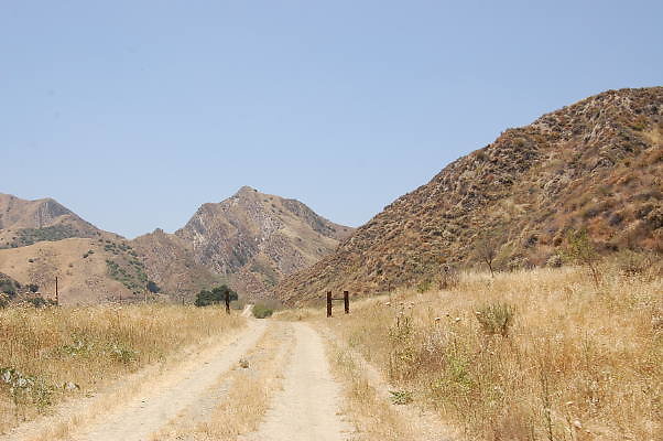 DSC 0217