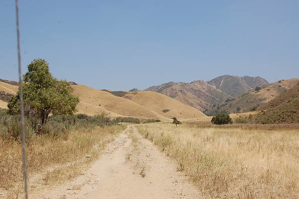 DSC 0186
