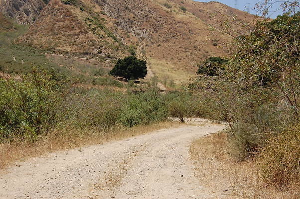 DSC 0234