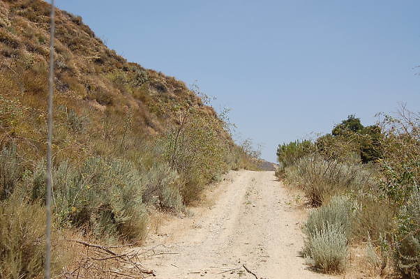 DSC 0151
