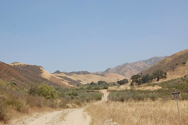 DSC 0165