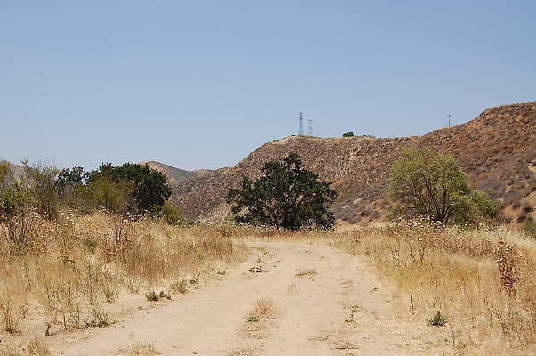 DSC 0196