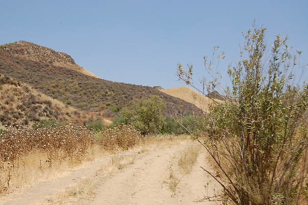 DSC 0183