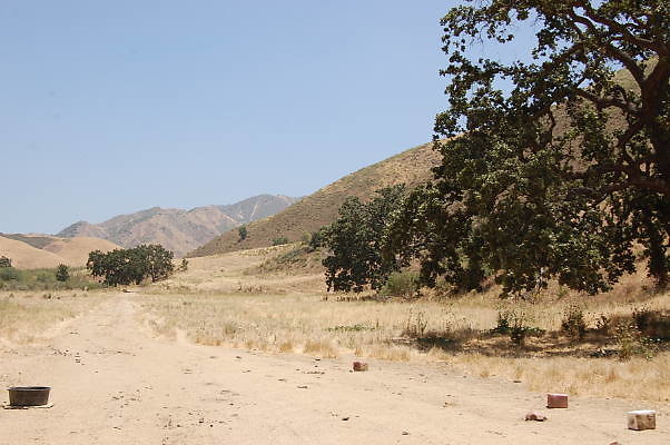 DSC 0175
