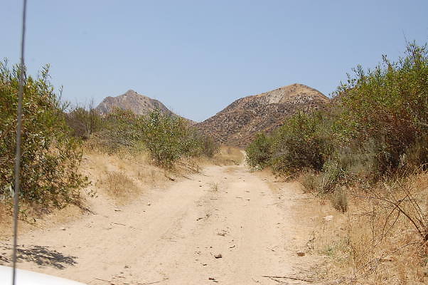 DSC 0210