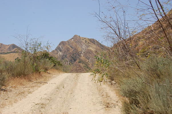 DSC 0226