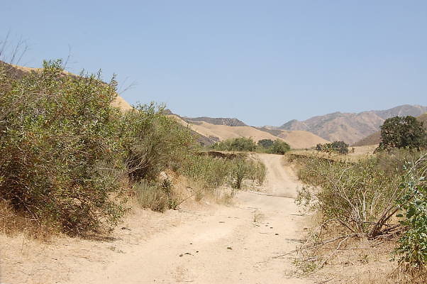DSC 0170
