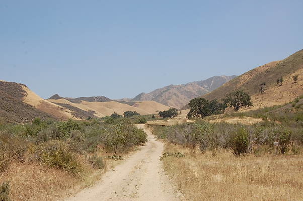 DSC 0167