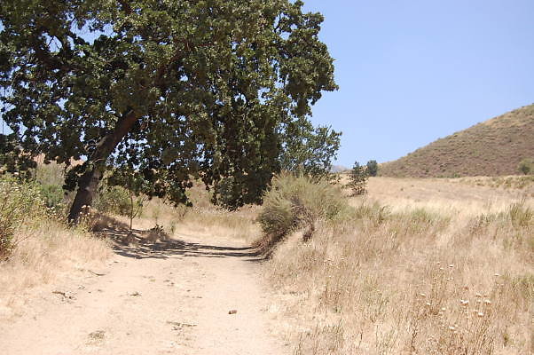DSC 0180