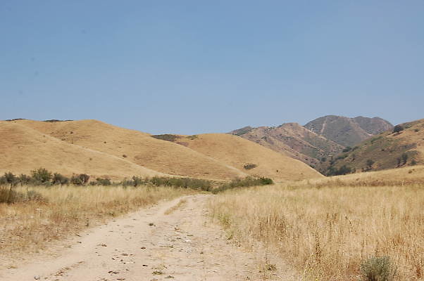 DSC 0190