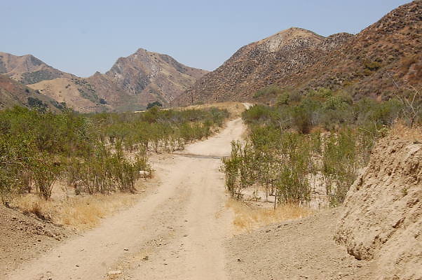 DSC 0207